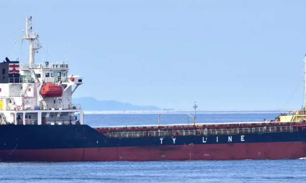 TY IRIS – GC / 6440 DWT / 2007 BLT CHN / BOX / FEA
