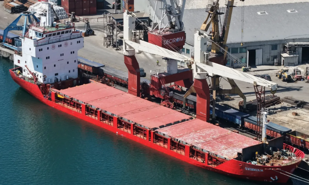 SWIMMER. M – 5303 DWT / GC / 1997 BLT CHN / 325 TEU / GRD / EUR