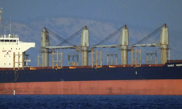 EAST WIND I – BC / 28458 DWT / 2002 JPN BLT / GRD / MED