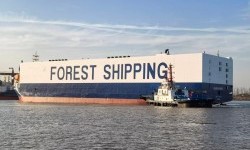 GOLDEN FOREST – 2022 CHINA BLT 2200 CARS CAR CARRIER