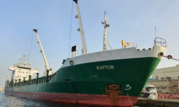 RAPTOR – 4300 DWT - 1991 BLT CHR - 256 TEU GRD MPP