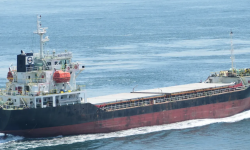 SUN VESTA – 6150 DWT - 2005 CHR BLT GLSS BOX GC