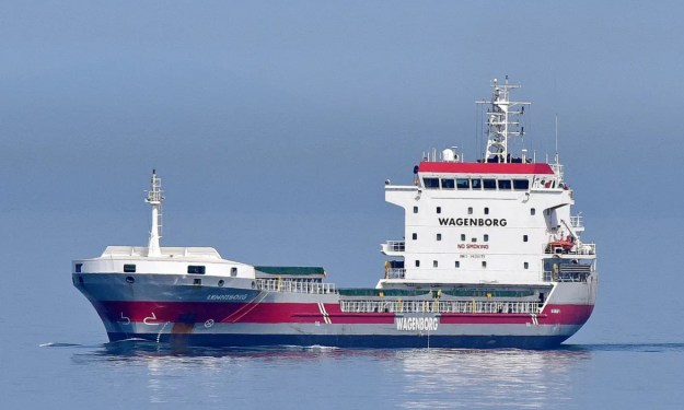 LENNEBORG – 2008 BLT CHN / GC / 8112 DWT / SID