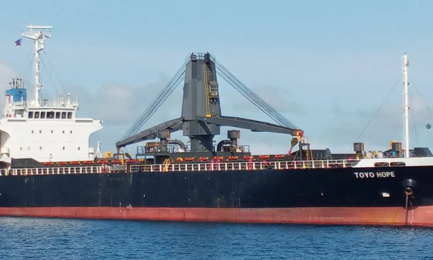 TOYO HOPE – GC / TWEEN DECKER / 10262 DWT /2005 BLT JPN / GEARED  / FEA