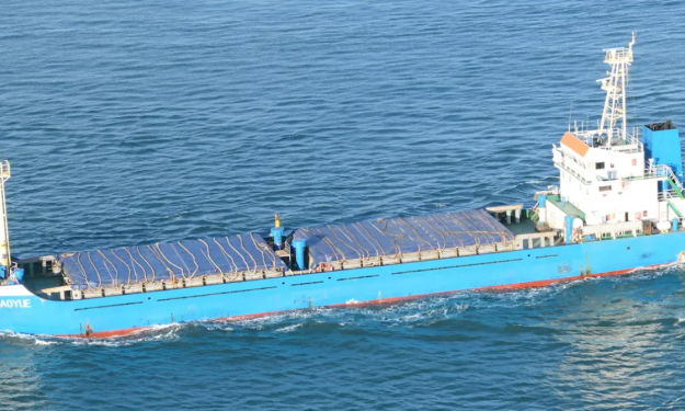 HONGYUN BAOYUE  – 3907DWT / GC /  2007 CHR BLT / FEA