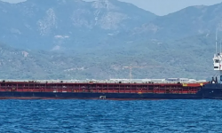 SEMSA – 2646 DWT / GC / 1992 BLT GEU / BOX / TEU 80 / MED