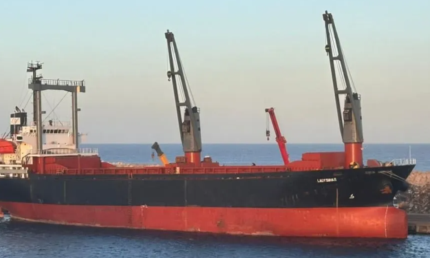 LADY SUHA II – 7644DWT / 2000 JPN BLT / GRD / BOX / SD