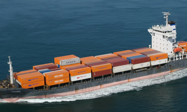 PACANDA – 12500 DWT / CONTAINER SHIP / 2005 BLT KOR / 1049 TEU / GLSS / FEA