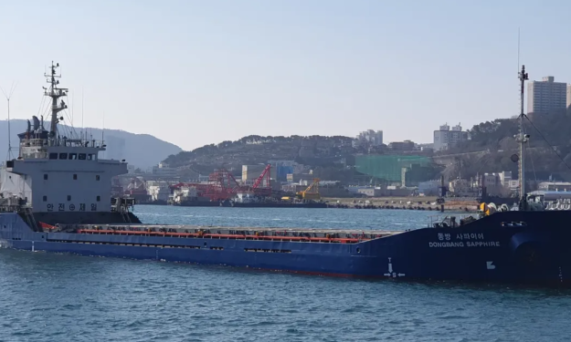 DONGBANG SAPPHIRE – 4438 DWT - 1996 BLT KRS - BOX GC - 112 TEU