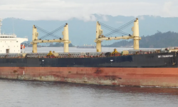 DRY TRANSPORT – BC / SUPRAMAX / 43769 DWT /  2000 BLT JPN  / GRD / SEA