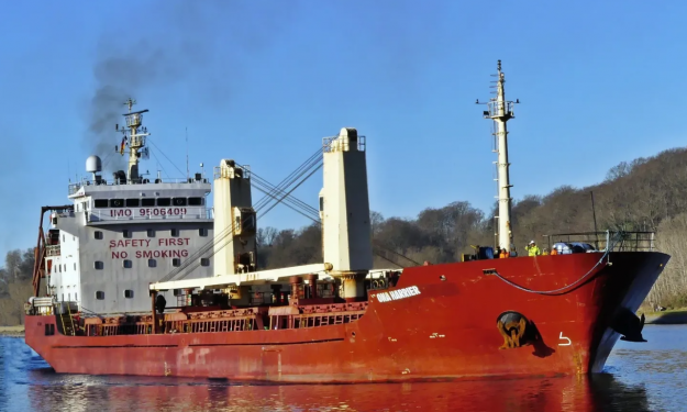 GRONA HARRIER  – 7931 DWT / BC / 2008 BLT CHN / GRD