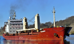 GRONA HARRIER  – 7931 DWT / BC / 2008 BLT CHN / GRD