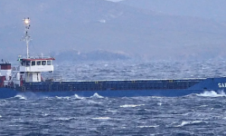 SARGAS  – 3362DWT / COASTER / DESIGN TYPE 110 / 1981 SIETAS BLT / 90 TEU