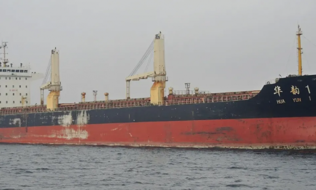 HUA YUN 1  – 22445 DWT / BC / 2008 BLT / GLSS / FEA