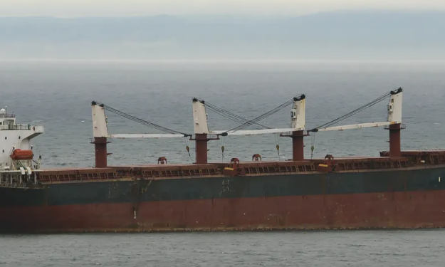 MAJESTY – 52421 DWT / SUPRA BC / 2002 BLT JPN / GRD / FEA