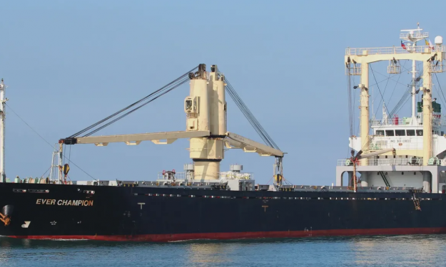 EVER CHAMPION – GC / TWEEN DECKER / 10977 DWT /2004 BLT JPN / GEARED/ BOX / SEA