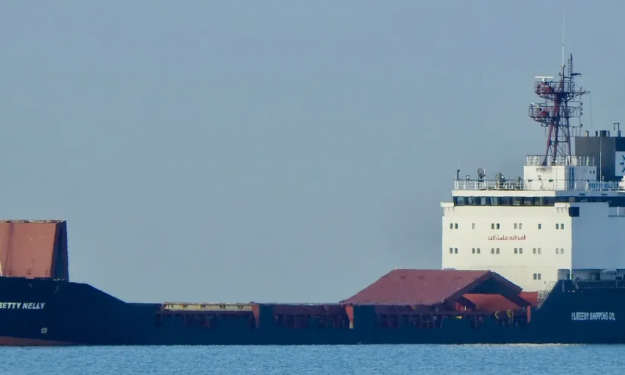 PRETTY NELLY – GC / 7500 DWT / 1994 BLT RUS  / BOX / 342 TEU / MED