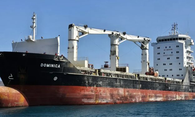 DOMINICA – 13022 DWT - 2001 BLT CHR GRD BOX GC
