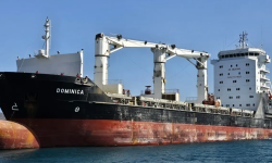 DOMINICA – 13022 DWT - 2001 BLT CHR GRD BOX GC