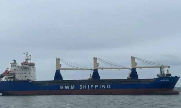 AURUM – 16588 DWT - 2005 CHR BLT - ICE 1S CLASS GEARED TEU-MPP