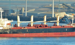 GLORY BRIDGE  – BC / SUPRAMAX / 50077 DWT / 2001 MITSUI / GRD / FEA