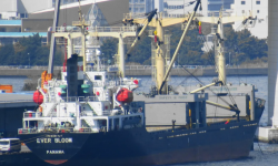 EVER BLOOM – 7351 DWT / GC / 2008 BLT CHN / BOX / GRD