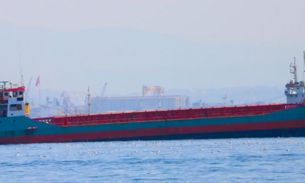 SEFA – 1850 DWT / GC / 1990 BLT UK / IMO CARGO / REDSEA
