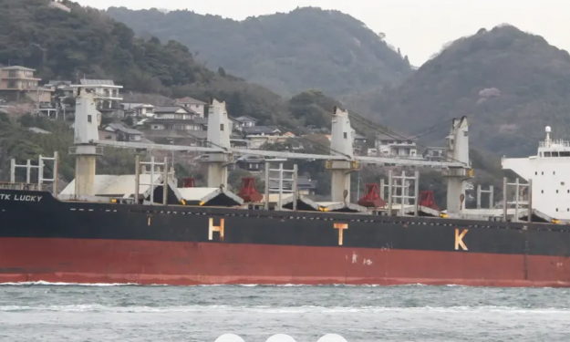 HTK LUCKY  – 28481 DWT / HANDY BC  / 2003 BLT JPN / GRD / SEA