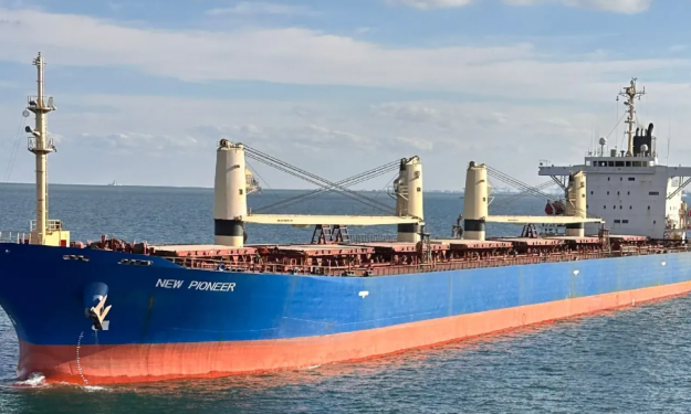 NEW PIONEER – 77229DWT - 2002 JPN BLT GEARED PANAMAX