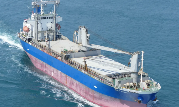 BOSHI 58 – 12912 DWT - 2006 JPN BLT GEARED GC / 66 TEU