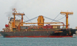 EASTERN PROGRESS – 12510 DWT / GC / 2009 BLT CHN / GRD / BOX / SEA