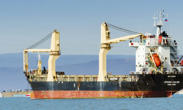 YONG SHENG 99  – 9101 DWT  / TWEEN GC / 2008 BLT CHR / GRD