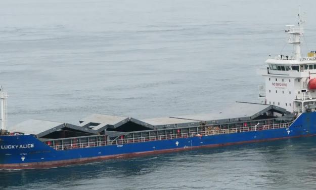 LUCKY ALICE  – 6400 DWT / GC / 2016 BLT CHN / BOX / FEA