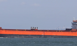 GEMINI MAESTRO – 7431 DWT / GC / 2007 BLT CHN / BOX / SID