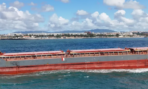 BLUE CAPRAMAR  – 7798 DWT / GC / 2012 BLT CHN / BOX / MED