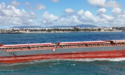 BLUE CAPRAMAR  – 7798 DWT / GC / 2012 BLT CHN / BOX / MED
