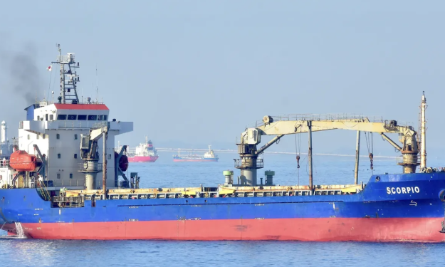 SCORPIO 11  – 6648 DWT - 2008 BLT CHN - GRD BOX GC