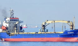 SCORPIO 11  – 6648 DWT - 2008 BLT CHN - GRD BOX GC