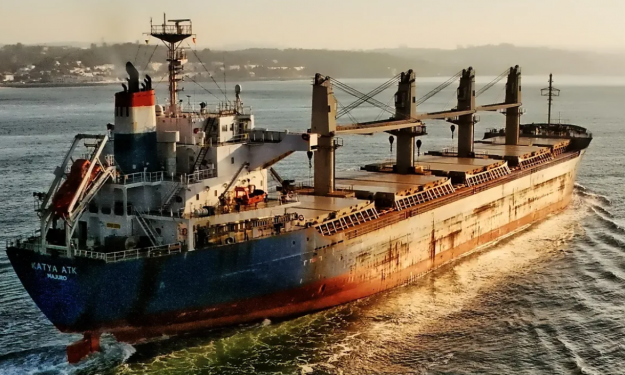 SAFI FORTUNE   – 28100 DWT / HANDY BC / 2009 BLT JPN / GRD / MED