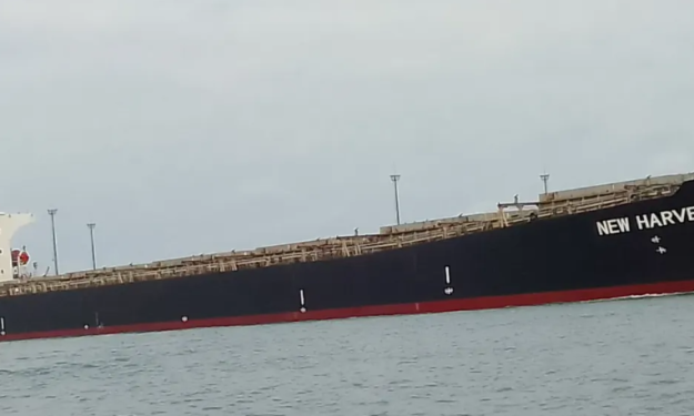 NEW HARVE  – 77834DWT - 2004 TWN BLT GEARED PANAMAX