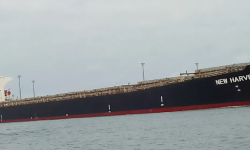 NEW HARVE  – 77834DWT - 2004 TWN BLT GEARED PANAMAX