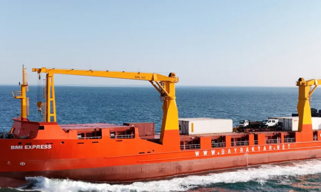 BMI EXPRESS – 6252 DWT / 2000 BLT TRK / 465 TEU / GRD