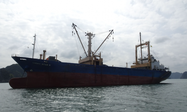 LUCKY STAR 6 – 7869DWT / GC TWEEN DECKER / 1996 JPN BLT / GRD / SEA