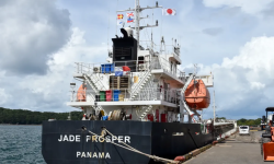 JADE PROSPER – 5252 DWT - 2023 BLT CHR GLSS GC