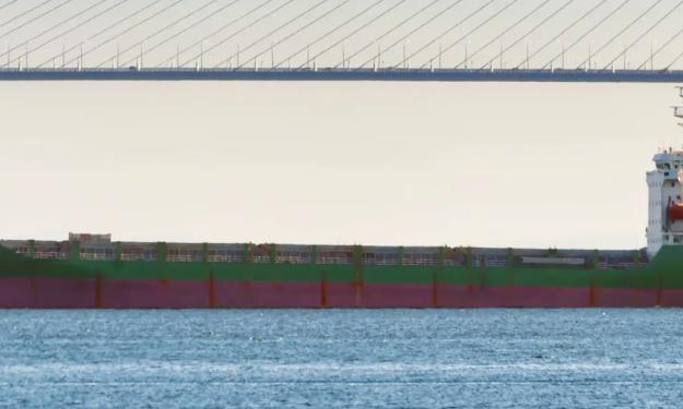 CHANG LIN – 10673 DWT - 2008 BLT CHN GLSS CONTAINER SHIP