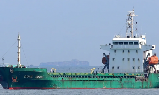 DONG SHUN – 6668 DWT / GC / 2007 CHR BLT /  SD / BOX / FEA