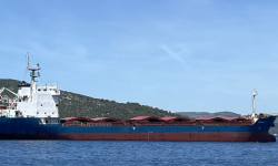 MICHELLE 1 – 8414 DWT / GC / 2009 BLT CHN / SEMI-BOX / MED